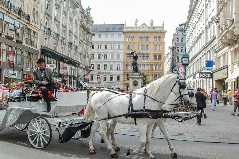 Hotelurile și restaurantele din Austria s-ar putea redeschide din 19 mai / Vor fi modificate și regulile de intrare în țară